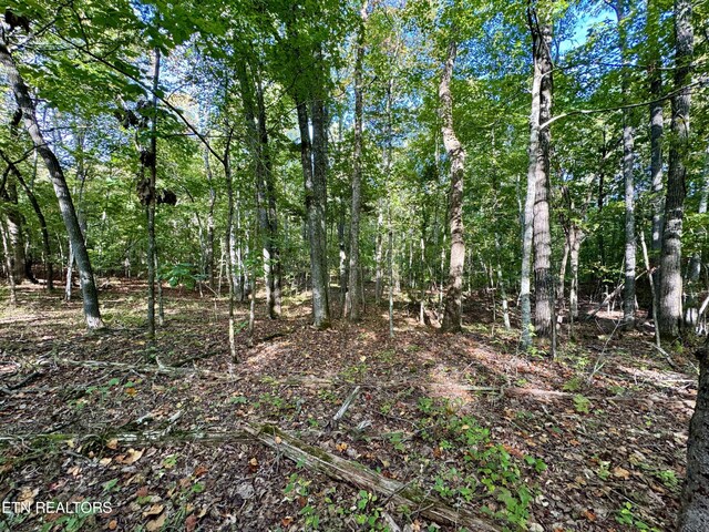 148 Cate Rd, Kingston, TN 37763 - photo 34