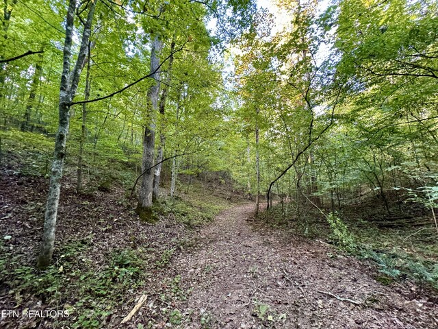 148 Cate Rd, Kingston, TN 37763 - photo 35