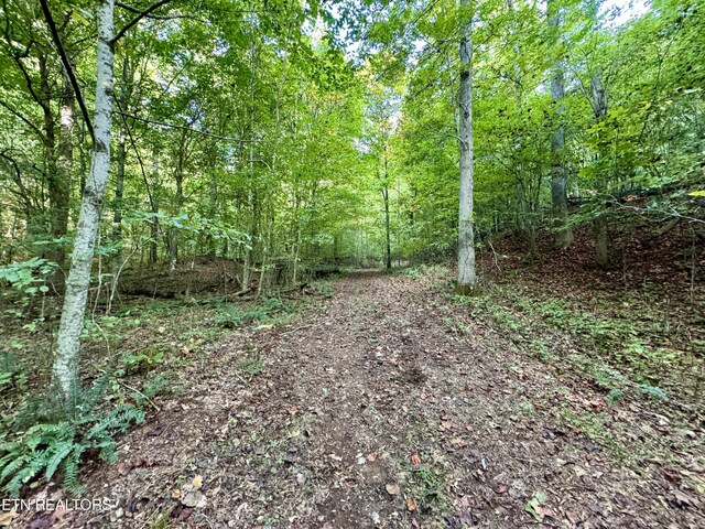 148 Cate Rd, Kingston, TN 37763 - photo 36