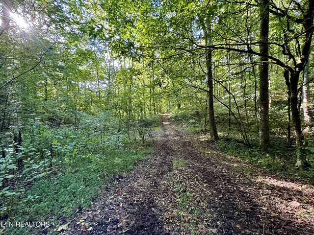 148 Cate Rd, Kingston, TN 37763 - photo 37