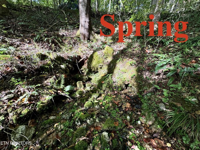 148 Cate Rd, Kingston, TN 37763 - photo 38