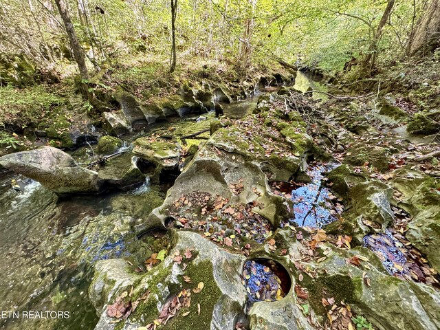 148 Cate Rd, Kingston, TN 37763 - photo 41