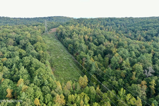 148 Cate Rd, Kingston, TN 37763 - photo 53