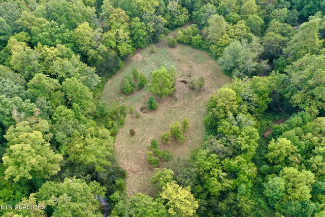 148 Cate Rd, Kingston, TN 37763 - photo 54