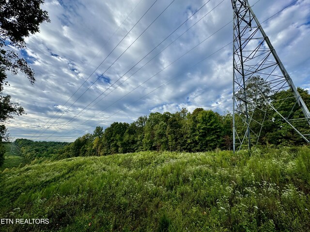 148 Cate Rd, Kingston, TN 37763 - photo 55