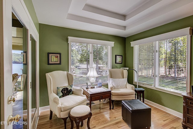 108 Waynoka Ln, Loudon, TN 37774 - living area with a tray ceiling, a healthy amount of sunlight, light wood finished floors, and baseboards