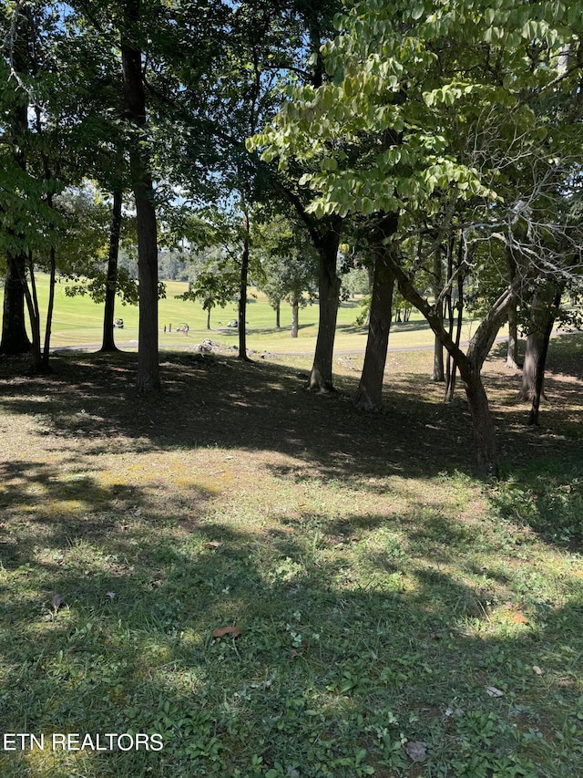 1181 Golf Course Rd, Newport, TN 37821 - photo 2