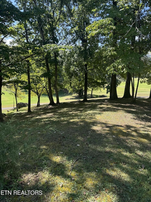 1181 Golf Course Rd, Newport, TN 37821 - photo 3