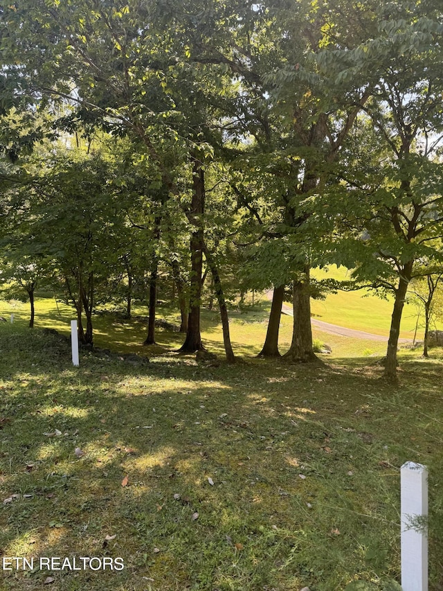 1181 Golf Course Rd, Newport, TN 37821 - photo 4