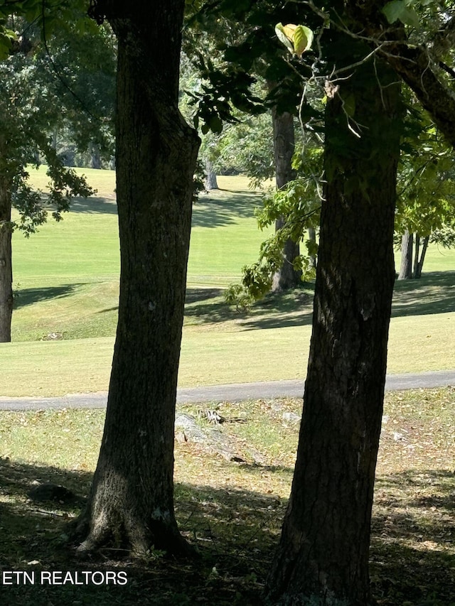 1181 Golf Course Rd, Newport, TN 37821 - photo 5