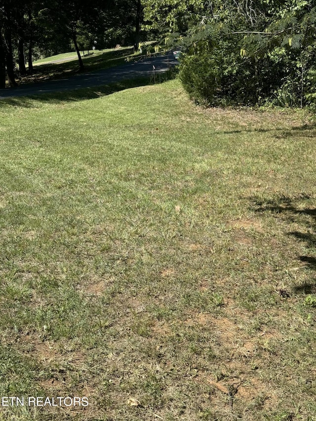 1181 Golf Course Rd, Newport, TN 37821 - photo 7