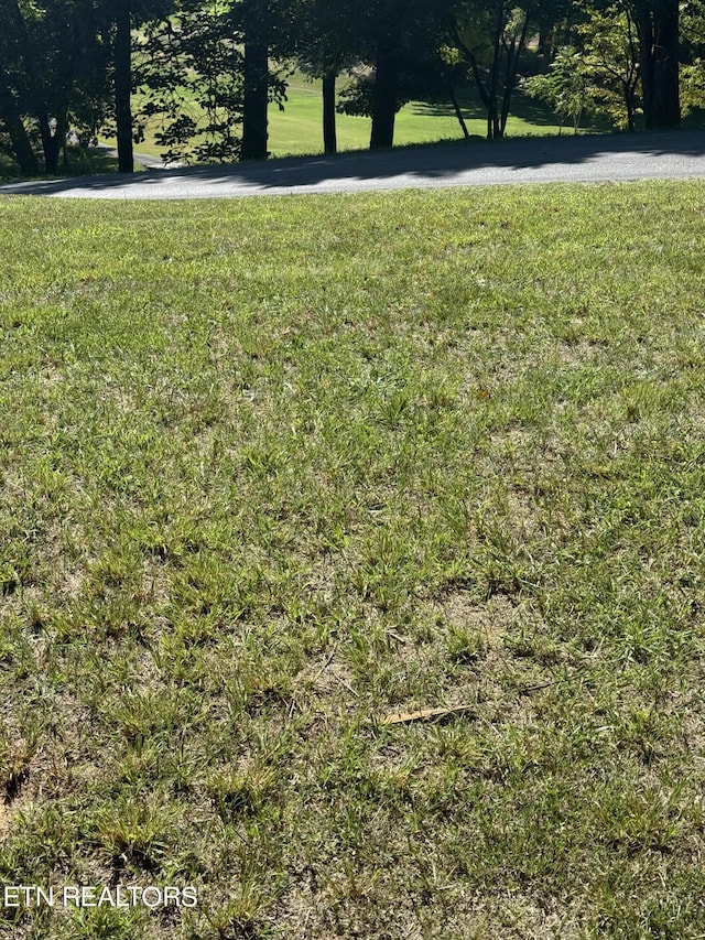 1181 Golf Course Rd, Newport, TN 37821 - photo 8
