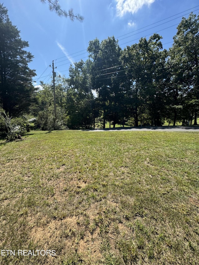 1181 Golf Course Rd, Newport, TN 37821 - photo 9