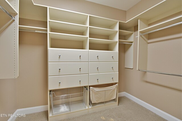 walk in closet featuring carpet