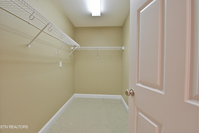 walk in closet featuring carpet floors