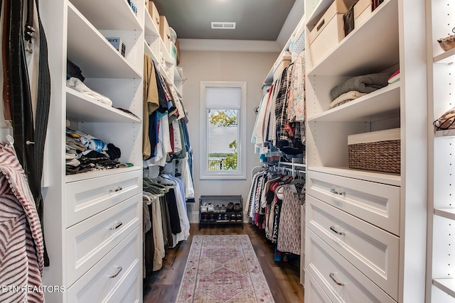 spacious closet with dark hardwood / wood-style flooring