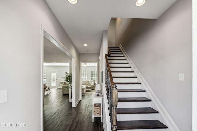 staircase featuring ceiling fan and wood-type flooring