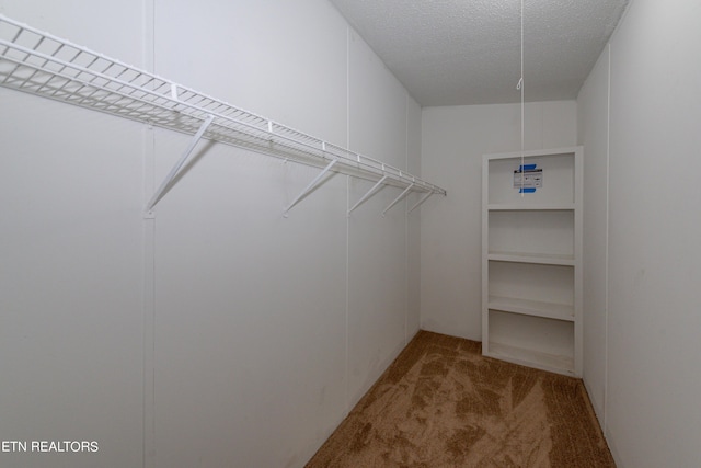 spacious closet featuring light colored carpet