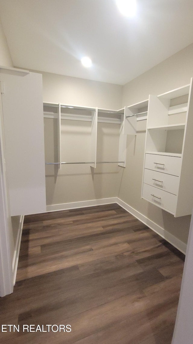 spacious closet with dark wood-type flooring