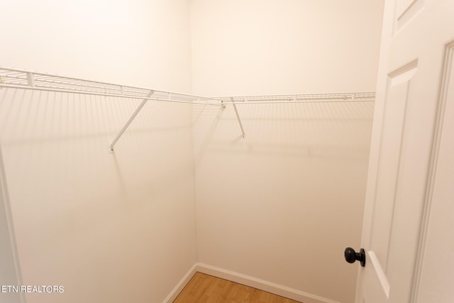 walk in closet with wood-type flooring