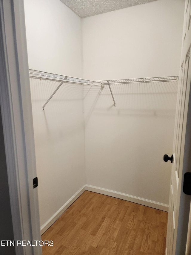 walk in closet with hardwood / wood-style flooring