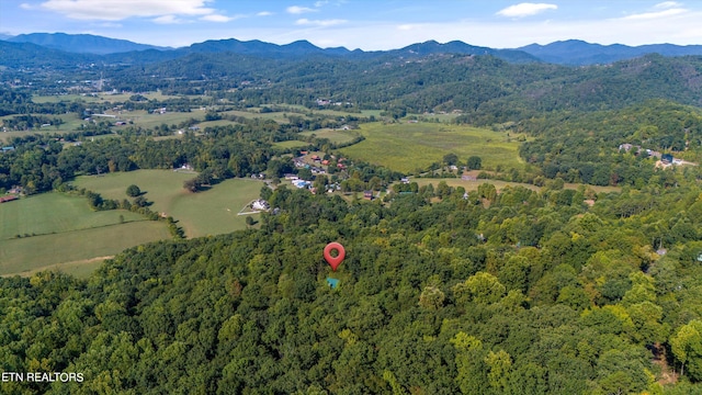 aerial view with a mountain view