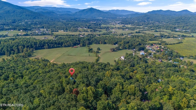 bird's eye view with a mountain view