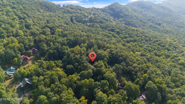 bird's eye view featuring a mountain view