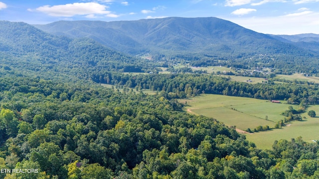 bird's eye view featuring a mountain view