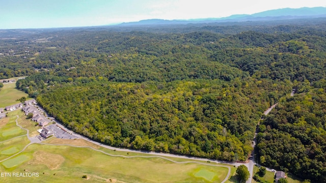 530 N Shiloh Rd, Seymour, TN 37865 - photo 5
