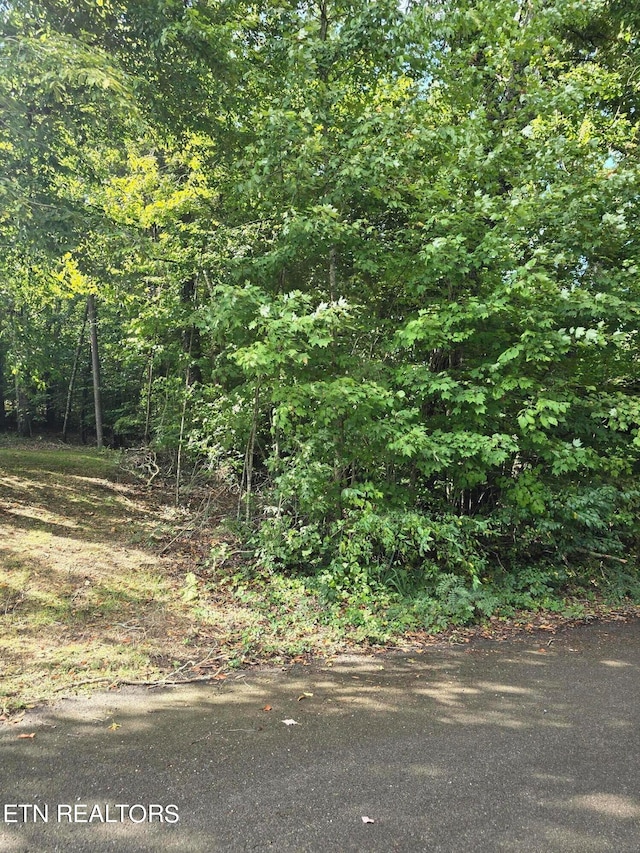 00 Reagan St, Harrogate TN, 37752 land for sale