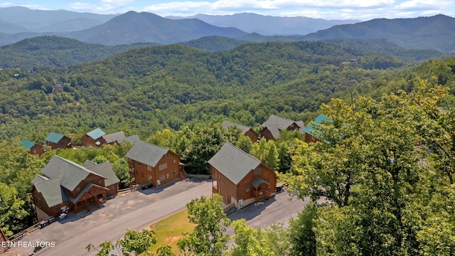 bird's eye view with a mountain view