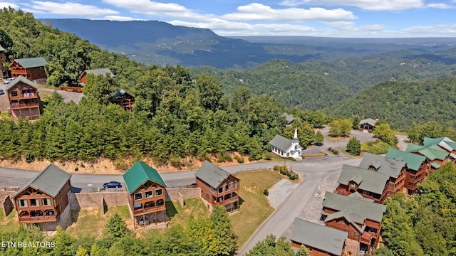 aerial view with a mountain view