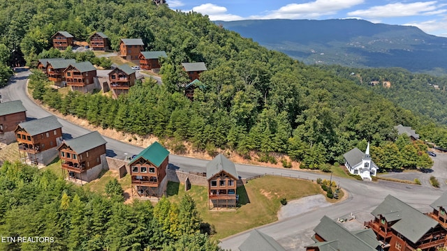 drone / aerial view featuring a mountain view