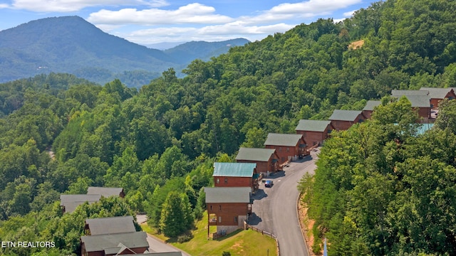 bird's eye view with a mountain view