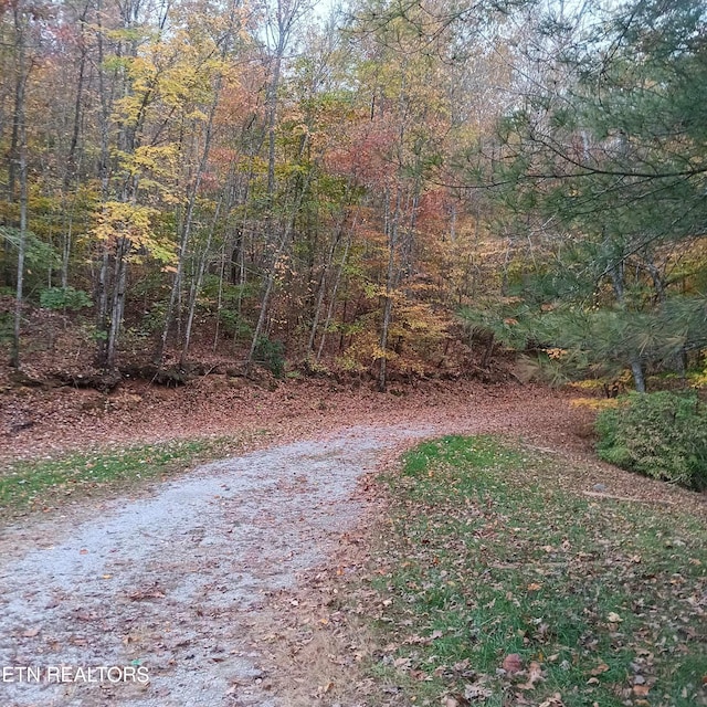 view of road