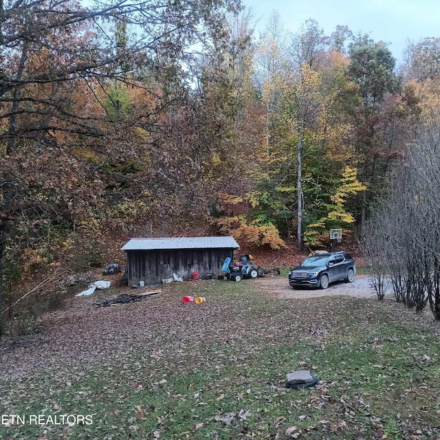 view of yard with a storage shed