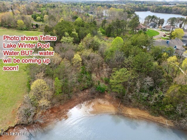 LOT103 Falcon Trl, Vonore, TN 37885 - photo 4