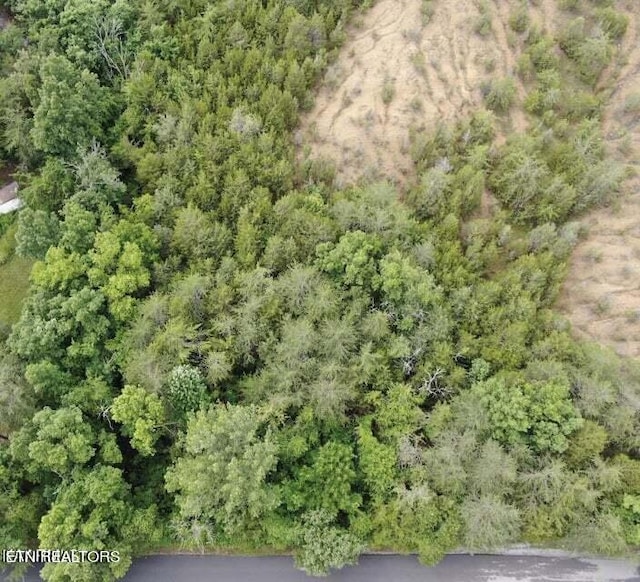 LOT46 Driftwood Cir, Sevierville, TN 37876 - photo 1
