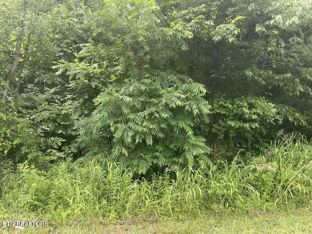 LOT46 Driftwood Cir, Sevierville, TN 37876 - photo 2