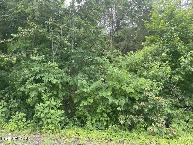 LOT46 Driftwood Cir, Sevierville, TN 37876 - photo 3