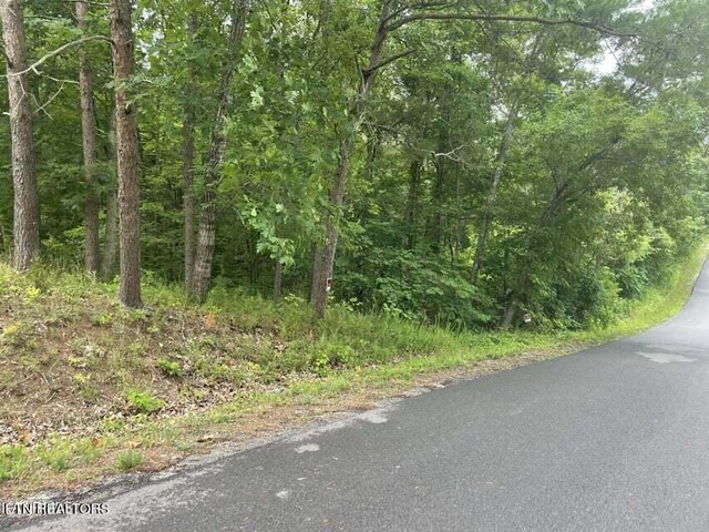 LOT46 Driftwood Cir, Sevierville, TN 37876 - photo 4