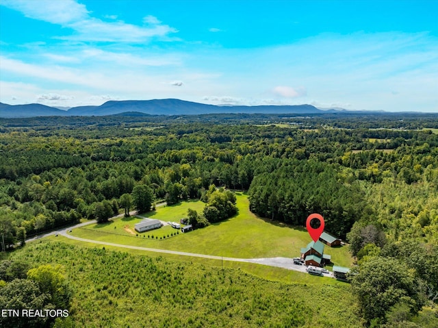 drone / aerial view featuring a mountain view