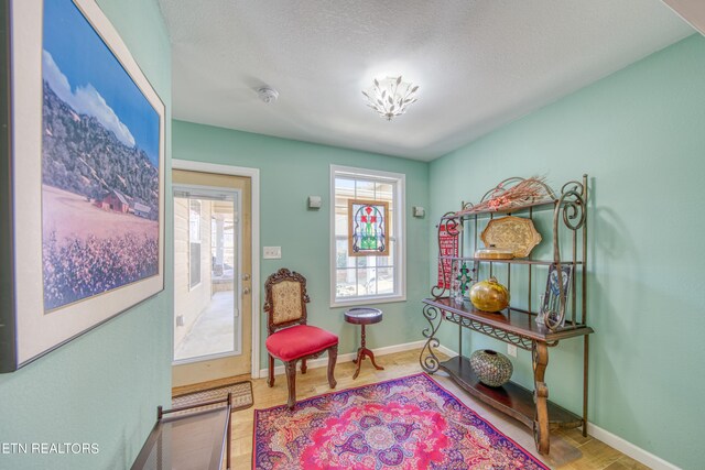 sitting room with a textured ceiling