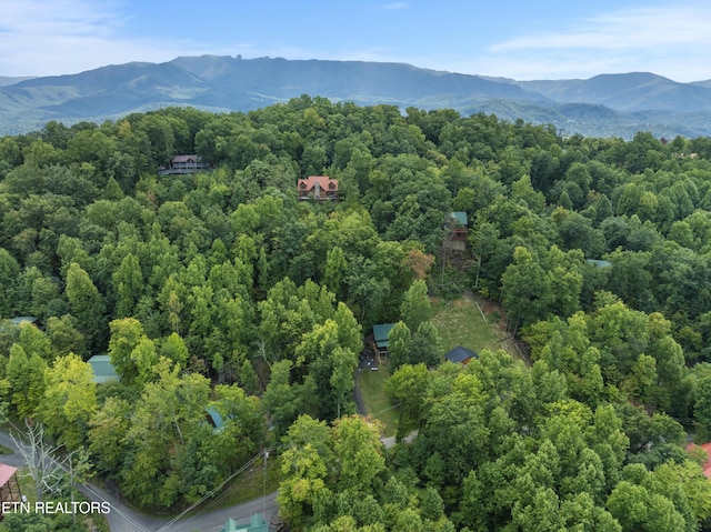 bird's eye view with a mountain view