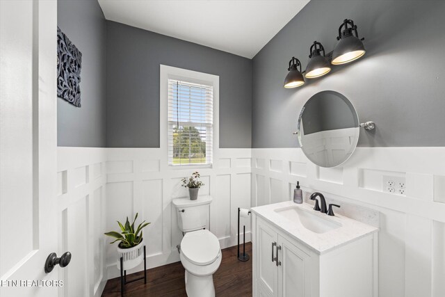 bathroom featuring vanity, toilet, and wood-type flooring