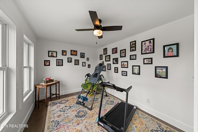 home office with ceiling fan and dark hardwood / wood-style flooring