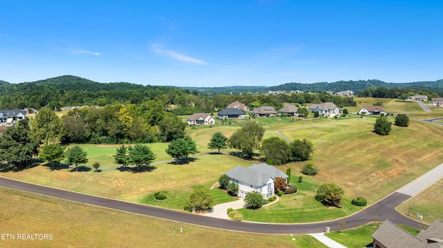 155 Killdeer Dr, Vonore, TN 37885 - drone / aerial view