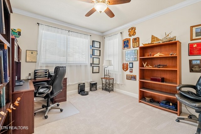 carpeted office space with ceiling fan and ornamental molding