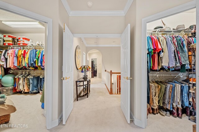 walk in closet with light colored carpet